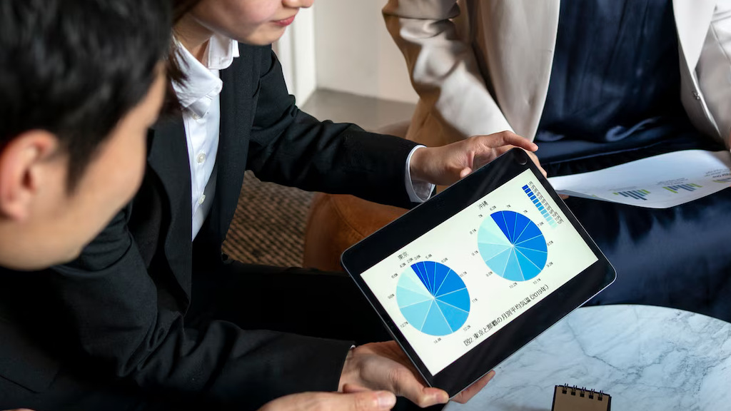 Application Due Diligence, Portfolio Analysis​